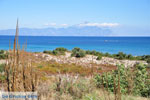 JustGreece.com Sarti | Sithonia Halkidiki | Greece  Photo 11 - Foto van JustGreece.com