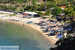 nature Beaches near Sykia and Paralia Sykias | Sithonia Halkidiki | Photo 17 - Photo JustGreece.com