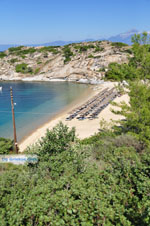 nature Beaches near Sykia and Paralia Sykias | Sithonia Halkidiki | Photo 19 - Photo JustGreece.com