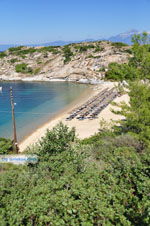 JustGreece.com nature Beaches near Sykia and Paralia Sykias | Sithonia Halkidiki | Photo 19 - Foto van JustGreece.com