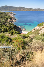 nature Beaches near Sykia and Paralia Sykias | Sithonia Halkidiki | Photo 22 - Photo JustGreece.com