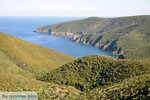 Somewhere between Kalamitsi and Port Koufo | Sithonia Halkidiki | Greece  Photo 2 - Photo JustGreece.com