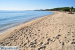 Toroni | Sithonia Halkidiki | Greece  Photo 23 - Photo JustGreece.com