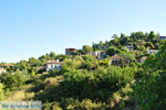 JustGreece.com Parthenonas | Sithonia Halkidiki | Greece  Photo 7 - Foto van JustGreece.com