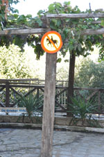 JustGreece.com Parthenonas | Sithonia Halkidiki | Greece  Photo 18 - Foto van JustGreece.com
