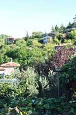 JustGreece.com Parthenonas | Sithonia Halkidiki | Greece  Photo 21 - Foto van JustGreece.com