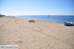 Psakoudia - Gerakini | Sithonia Halkidiki | Greece  Photo 2 - Photo JustGreece.com
