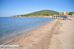 Psakoudia - Gerakini | Sithonia Halkidiki | Greece  Photo 3 - Photo JustGreece.com