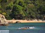 beach near Koutsouri on the island Skiathos Photo 1 - Photo JustGreece.com