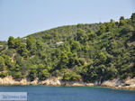 Beboste berghellingen Koutsouri Skiathos Photo 2 - Photo JustGreece.com