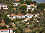 JustGreece.com near Kanapitsa on the island Skiathos Photo 1 - Foto van JustGreece.com