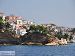 Met the boot to Skiathos town Photo 3 - Photo JustGreece.com