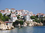 JustGreece.com Met the boot to Skiathos town Photo 6 - Foto van JustGreece.com