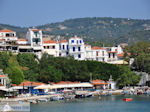 JustGreece.com The harbour of Skiathos town Photo 5 - Foto van JustGreece.com