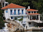 JustGreece.com The harbour of Skiathos town Photo 6 - Foto van JustGreece.com