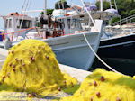 JustGreece.com Vissersnetten Skiathos town - Foto van JustGreece.com