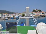 Greece Guide  in Skiathos town Photo 2 - Photo JustGreece.com