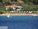 Troulos-beach Skiathos Photo 3 - Photo JustGreece.com