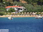 JustGreece.com Troulos-beach Skiathos Photo 3 - Foto van JustGreece.com