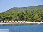 JustGreece.com beach Koukounaries - Island of Skiathos - Photo 1 - Foto van JustGreece.com