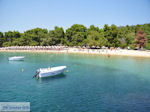 JustGreece.com The mooie beach of Koukounaries - Skiathos - Photo 1 - Foto van JustGreece.com