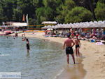 JustGreece.com The mooie beach of Koukounaries - Skiathos - Photo 4 - Foto van JustGreece.com