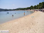 JustGreece.com The mooie beach of Koukounaries - Skiathos - Photo 5 - Foto van JustGreece.com