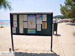 The mooie beach of Koukounaries - Skiathos - Photo 6 - Photo JustGreece.com