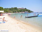 JustGreece.com The beach of Koukounaries - Skiathos Photo 4 - Foto van JustGreece.com