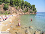 JustGreece.com Nog een beachje in Koukounaries - Skiathos - Foto van JustGreece.com