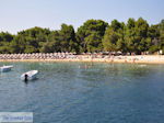 JustGreece.com The Sandy beach of Koukounaries - Skiathos - Photo 1 - Foto van JustGreece.com