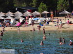 JustGreece.com The Sandy beach of Koukounaries - Skiathos - Photo 2 - Foto van JustGreece.com