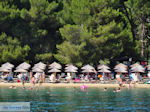 JustGreece.com The Sandy beach of Koukounaries - Skiathos - Photo 5 - Foto van JustGreece.com