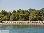 JustGreece.com The Sandy beach of Koukounaries - Skiathos - Photo 6 - Foto van JustGreece.com