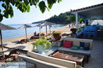 JustGreece.com Achladies | Skiathos Sporades | Greece  Photo 1 - Foto van JustGreece.com