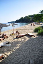 Achladies | Skiathos Sporades | Greece  Photo 2 - Photo JustGreece.com