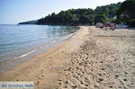 Achladies | Skiathos Sporades | Greece  Photo 3 - Photo JustGreece.com