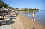 JustGreece.com Achladies | Skiathos Sporades | Greece  Photo 4 - Foto van JustGreece.com