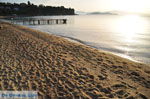 JustGreece.com Achladies | Skiathos Sporades | Greece  Photo 11 - Foto van JustGreece.com