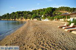 JustGreece.com Achladies | Skiathos Sporades | Greece  Photo 13 - Foto van JustGreece.com