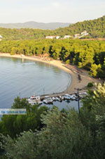 JustGreece.com Koukounaries | Skiathos Sporades | Greece  Photo 3 - Foto van JustGreece.com