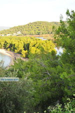 JustGreece.com Koukounaries | Skiathos Sporades | Greece  Photo 4 - Foto van JustGreece.com