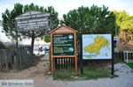 Koukounaries | Skiathos Sporades | Greece  Photo 5 - Photo JustGreece.com