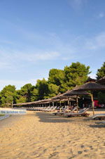 JustGreece.com Koukounaries | Skiathos Sporades | Greece  Photo 11 - Foto van JustGreece.com