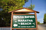 JustGreece.com Maratha beach near Koukounaries | Skiathos Sporades | Greece  Photo 1 - Foto van JustGreece.com