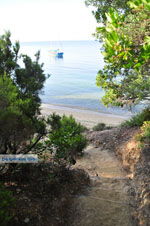 JustGreece.com Maratha beach near Koukounaries | Skiathos Sporades | Greece  Photo 3 - Foto van JustGreece.com