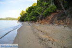 JustGreece.com Maratha beach near Koukounaries | Skiathos Sporades | Greece  Photo 5 - Foto van JustGreece.com