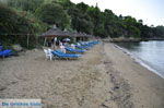 JustGreece.com Maratha beach near Koukounaries | Skiathos Sporades | Greece  Photo 6 - Foto van JustGreece.com