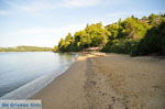 JustGreece.com Maratha beach near Koukounaries | Skiathos Sporades | Greece  Photo 7 - Foto van JustGreece.com