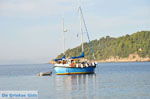 JustGreece.com Maratha beach near Koukounaries | Skiathos Sporades | Greece  Photo 8 - Foto van JustGreece.com